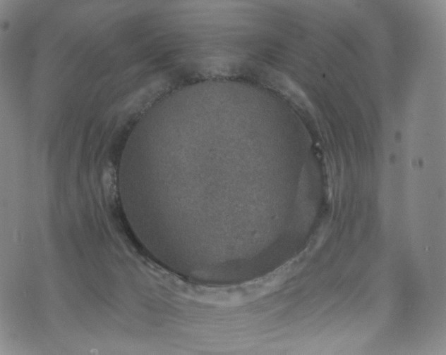 X0000071960029200607141446