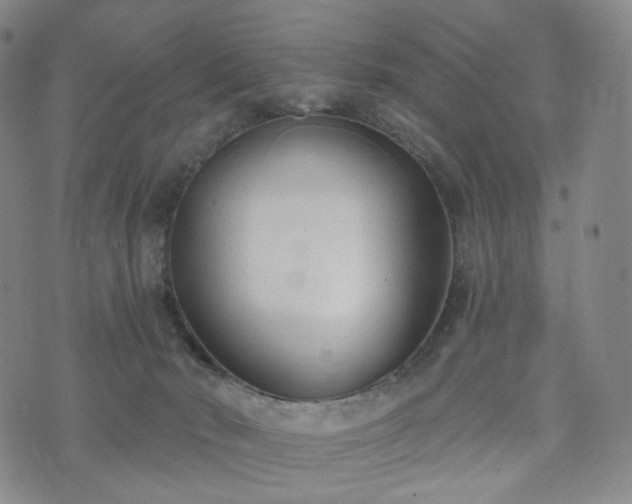 X0000071960030200607141446