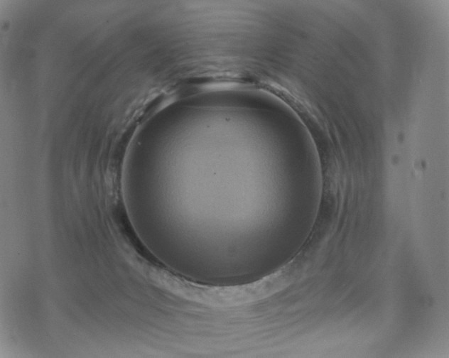 X0000071960031200607141446