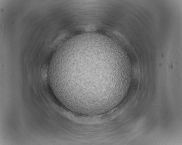 X0000071960032200607141446