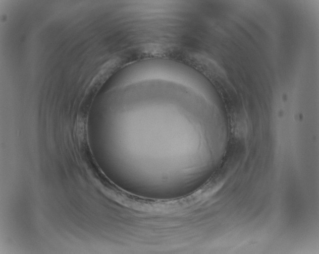 X0000071960036200607141445