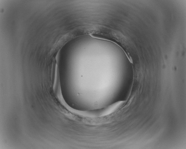 X0000071960041200607141445