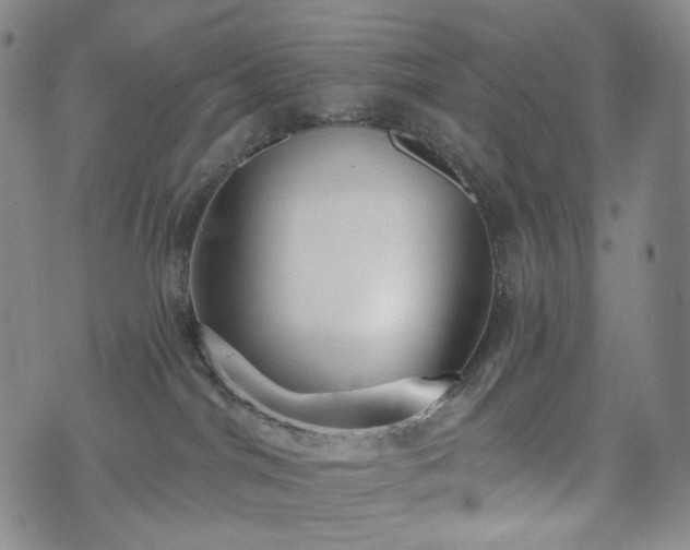 X0000071960044200607141445