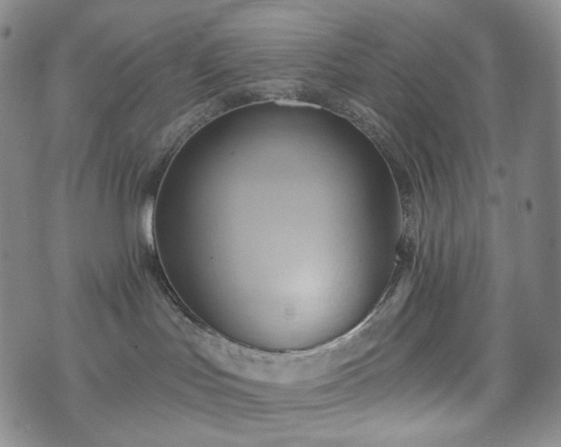 X0000071960047200607141445