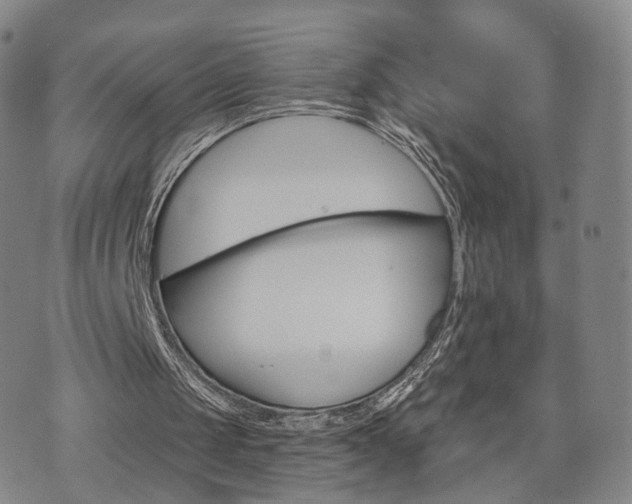 X0000071960049200607141444