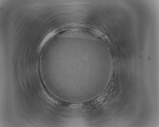 X0000071960051200607141444