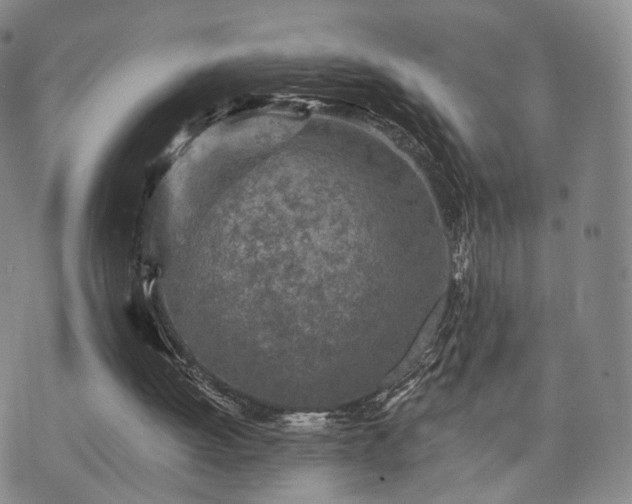 X0000071960052200607141444