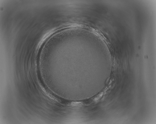 X0000071960055200607141445