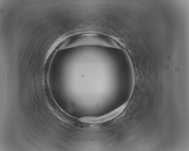 X0000071960056200607141445