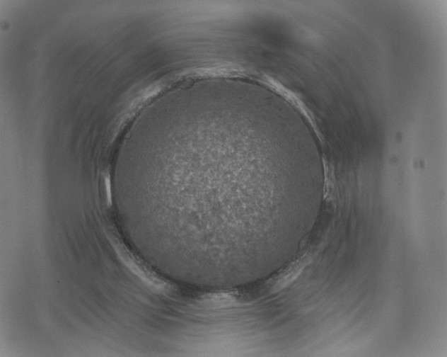 X0000071960061200607141445