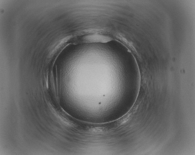 X0000071960062200607141445