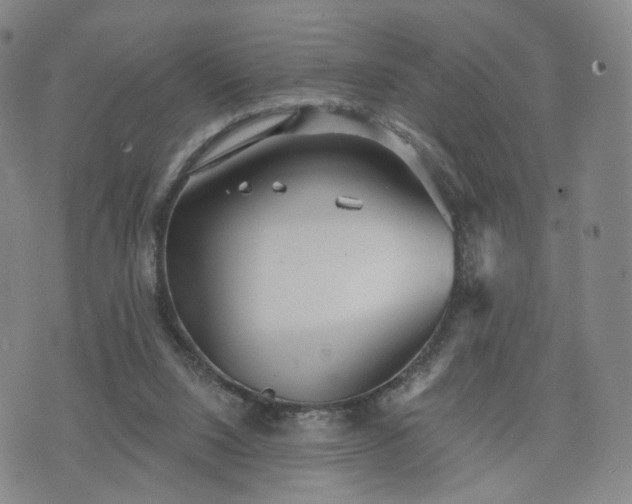 X0000071960064200607141445