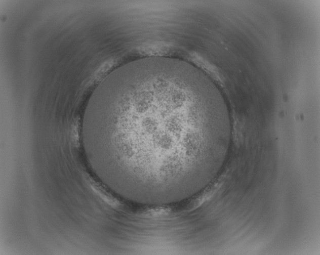 X0000071960065200607141445