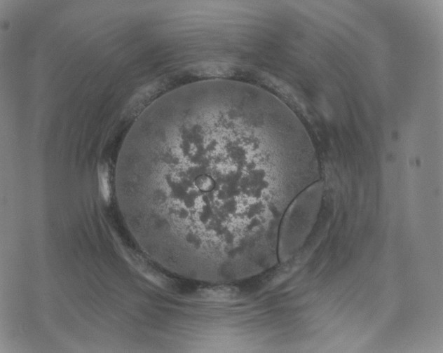 X0000071960069200607141445