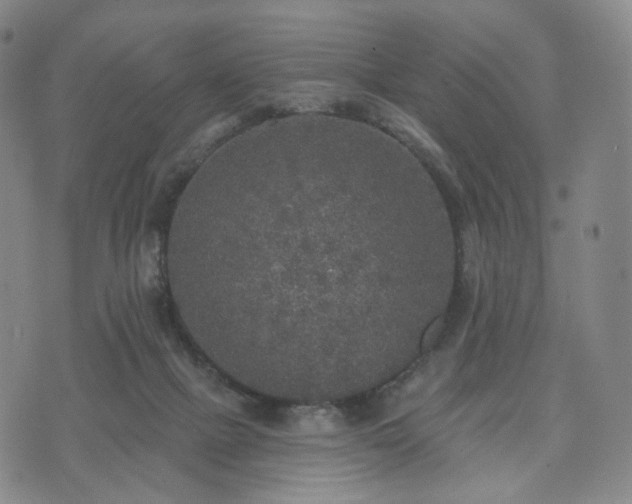 X0000071960073200607141445