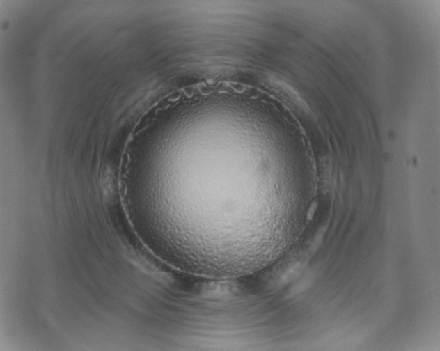 X0000071960077200607141445