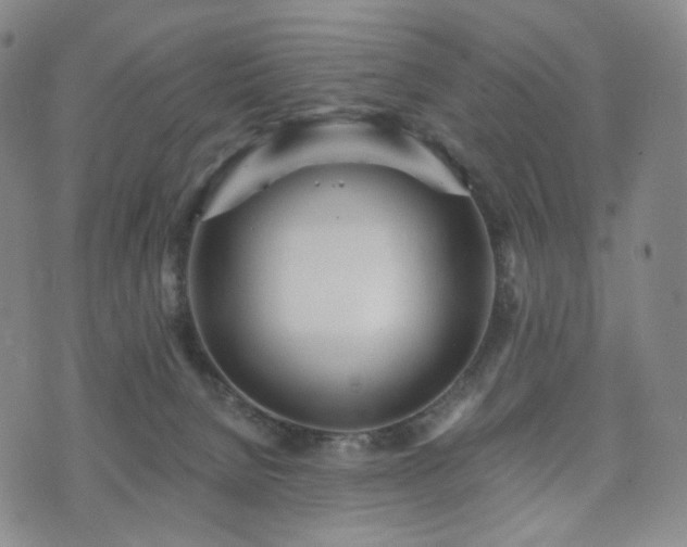 X0000071960080200607141445