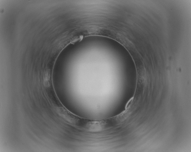 X0000071960082200607141445