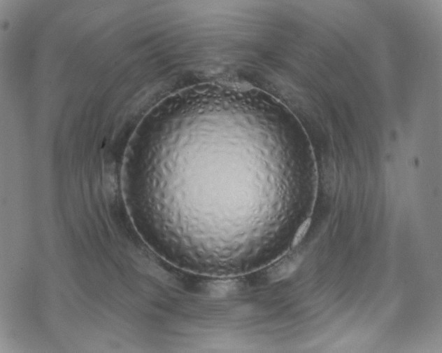 X0000071960085200607141445