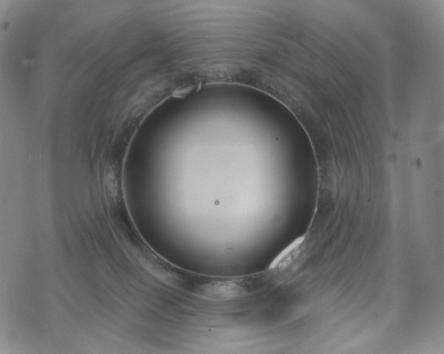 X0000071960086200607141445