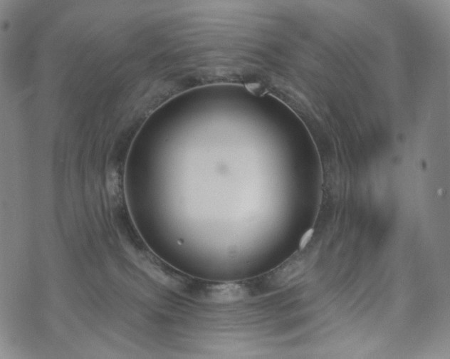 X0000071960087200607141445