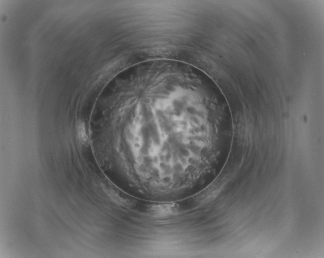 X0000071960089200607141445