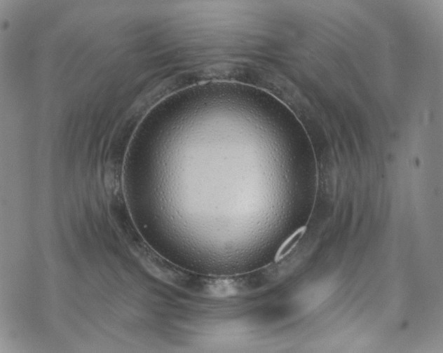 X0000071960091200607141445