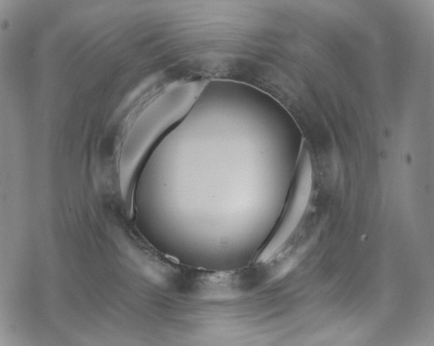 X0000071960092200607141445