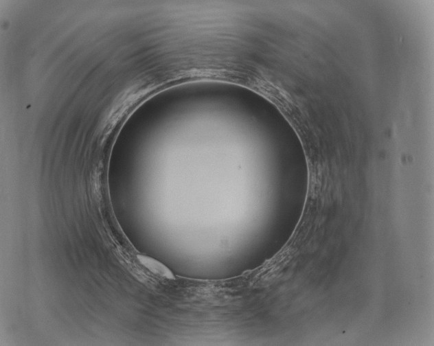 X0000071960098200607141444