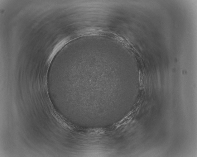 X0000071960099200607141444