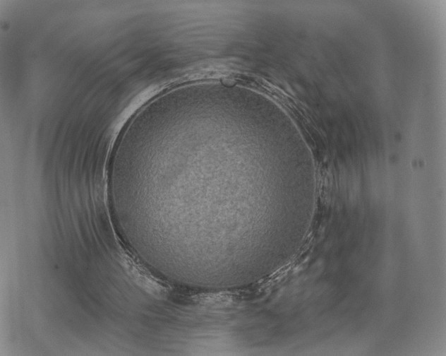 X0000071960100200607141444