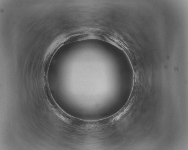 X0000071960101200607141444