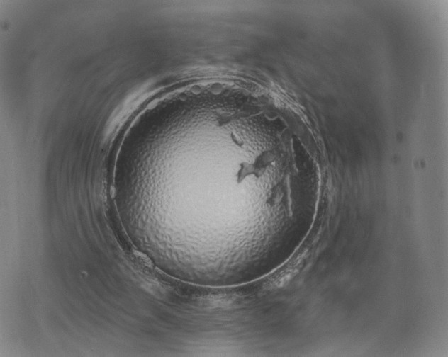 X0000071960103200607141444