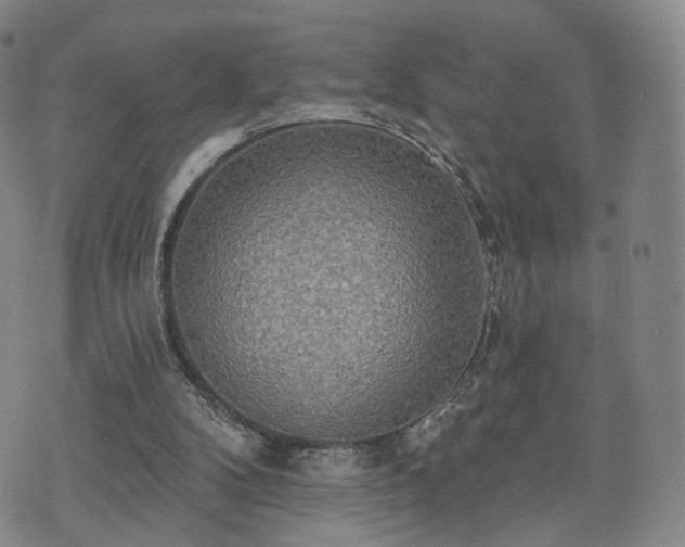 X0000071960104200607141444