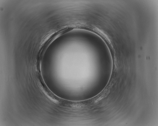 X0000071960105200607141444