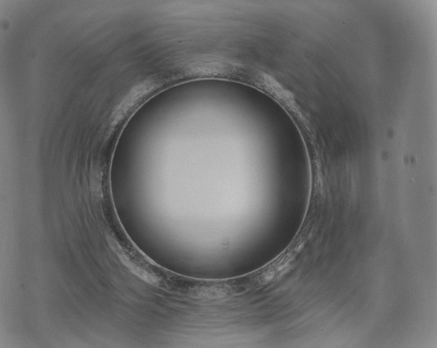 X0000071960106200607141444