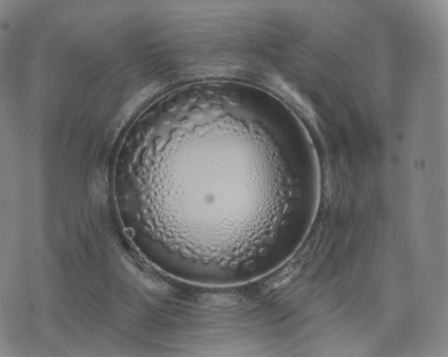 X0000071960107200607141444