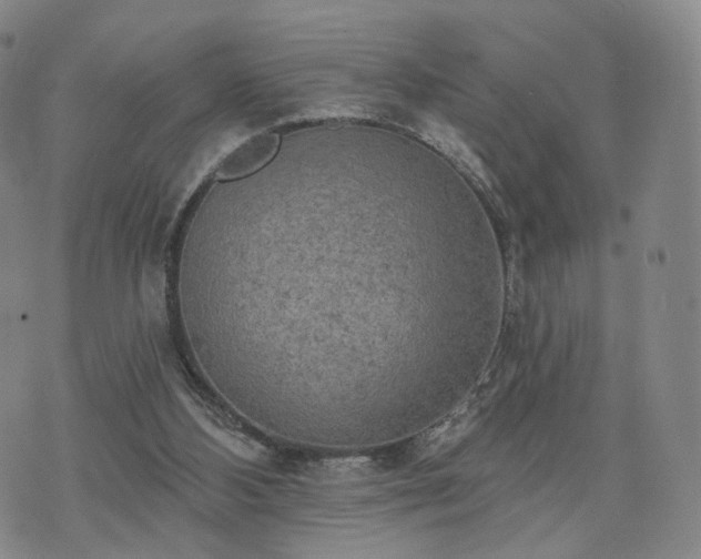 X0000071960108200607141444