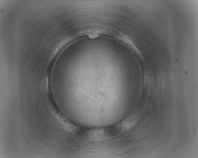 X0000071960110200607141444