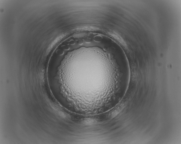 X0000071960111200607141444