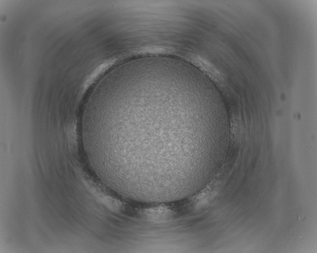 X0000071960112200607141444