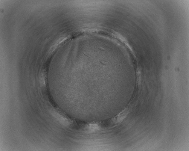 X0000071960114200607141444