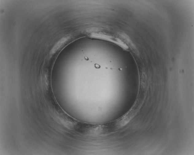 X0000071960116200607141444