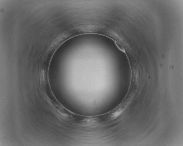 X0000071960117200607141444