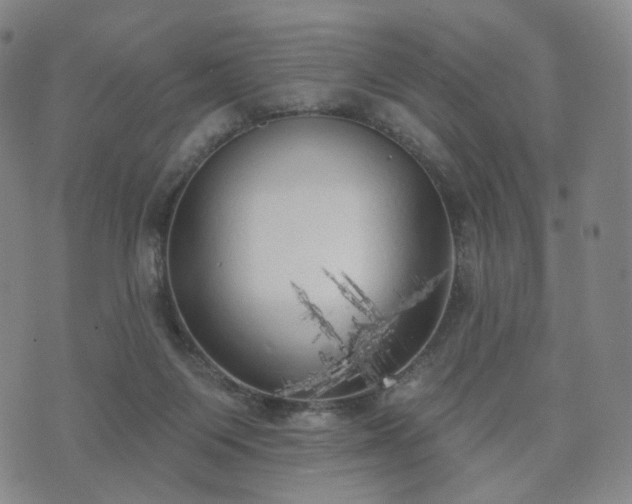 X0000071960119200607141444