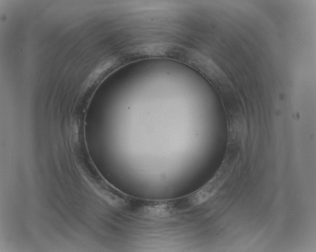 X0000071960120200607141444