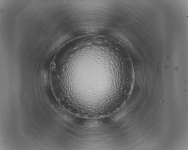 X0000071960123200607141444