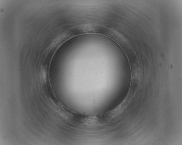 X0000071960124200607141444