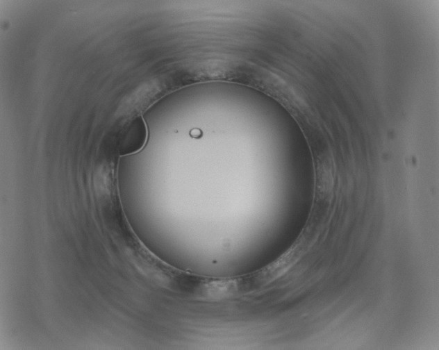 X0000071960126200607141444