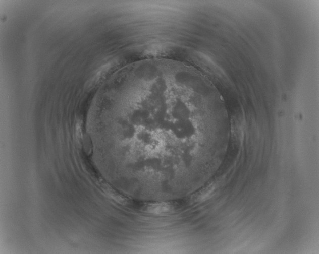 X0000071960127200607141444